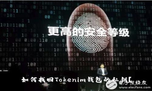 如何找回Tokenim钱包的私钥？
