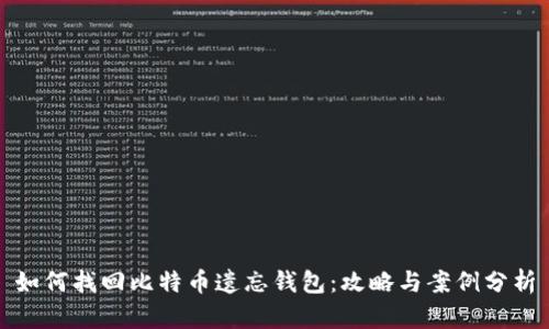 如何找回比特币遗忘钱包：攻略与案例分析