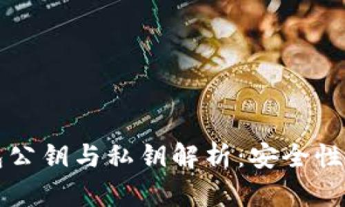 比特币钱包公钥与私钥解析：安全性与使用技巧