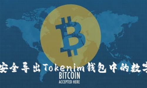 如何安全导出Tokenim钱包中的数字货币