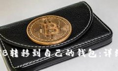 如何安全地将SHIB转移到自