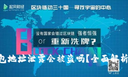 Tokenim钱包地址泄露会被盗吗？全面解析与安全建议