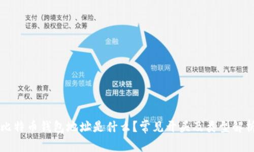 比特币钱包地址是什么？常见开头及类型解析
