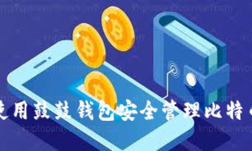 如何使用鼓鼓钱包安全管理比特币资产