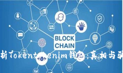 深入解析Tokentokenim钱包：真相与骗局辨析