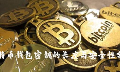 比特币钱包密钥的长度与安全性分析