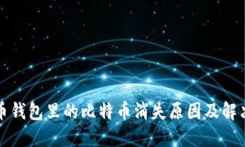 比特币钱包里的比特币消失原因及解决方案