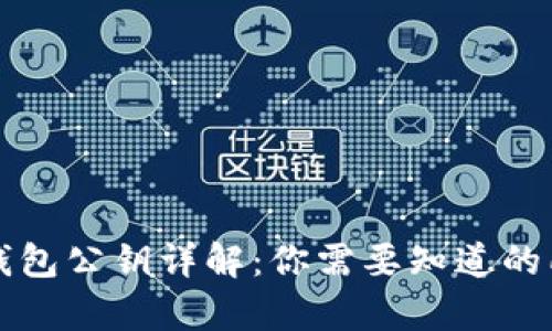 以太坊钱包公钥详解：你需要知道的所有信息