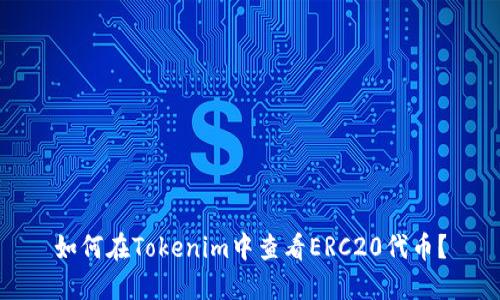 如何在Tokenim中查看ERC20代币？