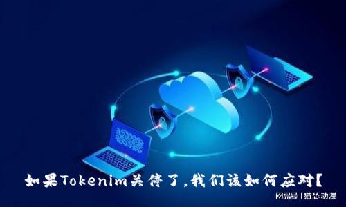 如果Tokenim关停了，我们该如何应对？