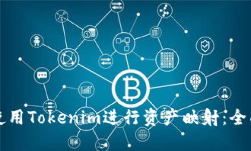 如何使用Tokenim进行资产映射：全面指南