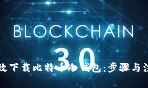 怎样有效下载比特币冷钱包：步骤与注意事项