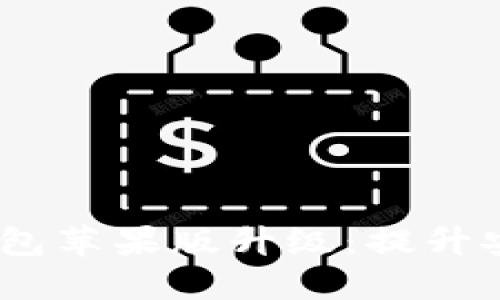 Tokentokenim钱包苹果版升级：提升安全性与用户体验
