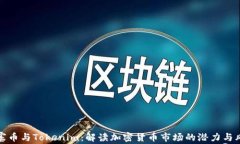山寨币与Tokenim：解读加密