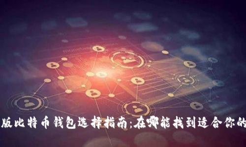 中文版比特币钱包选择指南：在哪能找到适合你的钱包