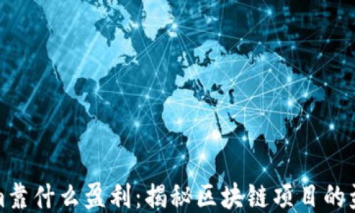
tokenim靠什么盈利：揭秘区块链项目的盈利模式