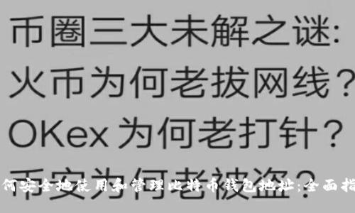 如何安全地使用和管理比特币钱包地址：全面指南