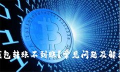 Tokenim钱包转账不到账？常