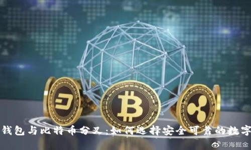 全面解读在线钱包与比特币分叉：如何选择安全可靠的数字货币存储方案