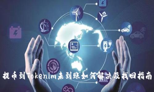 提币到Tokenim未到账如何解决及找回指南