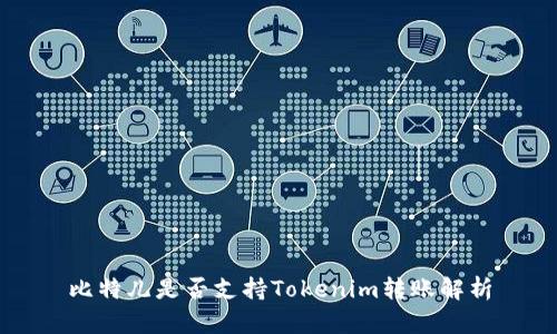 比特儿是否支持Tokenim转账解析