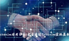 Tokenim项目评析：能否通过