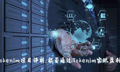 Tokenim项目评析：能否通过Tokenim实现盈利？
