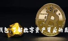 解密XRP鲸鱼钱包：了解数