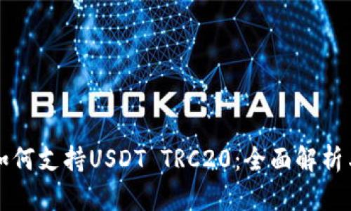 波场钱包如何支持USDT TRC20：全面解析与应用指南