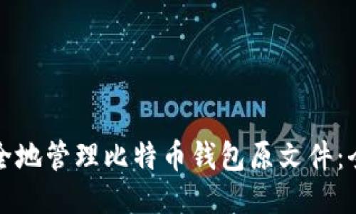 如何安全地管理比特币钱包原文件：全面指南