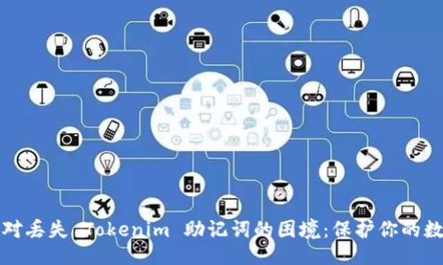 ### 
如何应对丢失 Tokenim 助记词的困境：保护你的数字资产