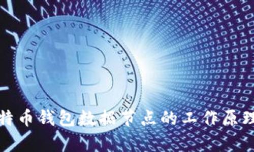全面解析比特币钱包数据节点的工作原理与使用技巧