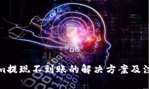 Tokenim提现不到账的解决方案及注意事项