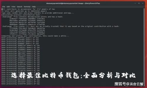 选择最佳比特币钱包：全面分析与对比