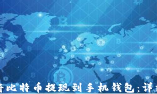 
如何将比特币提现到手机钱包：详细指南