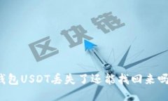 钱包USDT丢失了还能找回来