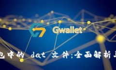 比特币钱包中的 dat 文件：