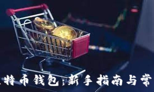   
如何同步比特币钱包：新手指南与常见问题解答
