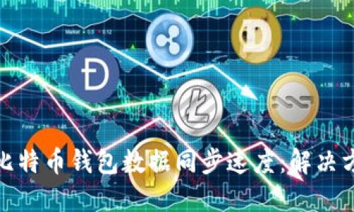 如何提高比特币钱包数据同步速度：解决方案与建议
