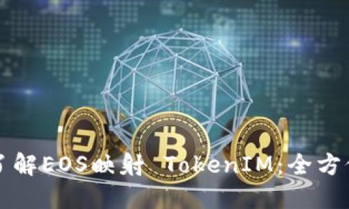 深入了解EOS映射 TokenIM：全方位指南