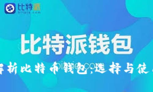 全面解析比特币钱包：选择与使用指南