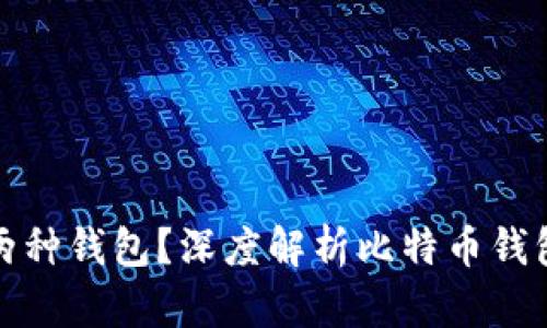 比特币为何存在两种钱包？深度解析比特币钱包的功能与安全性