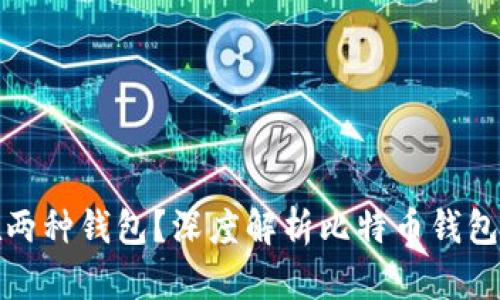 比特币为何存在两种钱包？深度解析比特币钱包的功能与安全性