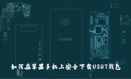 如何在苹果手机上安全下载USDT钱包