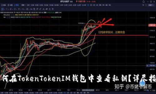 如何在TokenTokenIM钱包中查看私钥？详尽指南