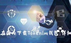 如何在国内下载Tokenim钱包：详细指南