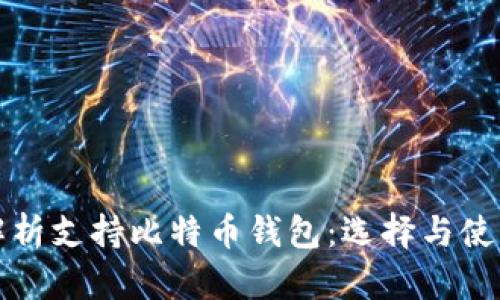 全面解析支持比特币钱包：选择与使用指南
