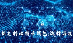 全面解析支持比特币钱包：选择与使用指南