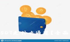 Token.im钱包USDT走什么通道？全面解析及使用指南