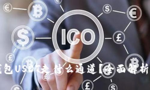 Token.im钱包USDT走什么通道？全面解析及使用指南